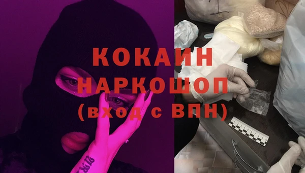 apvp Богородицк