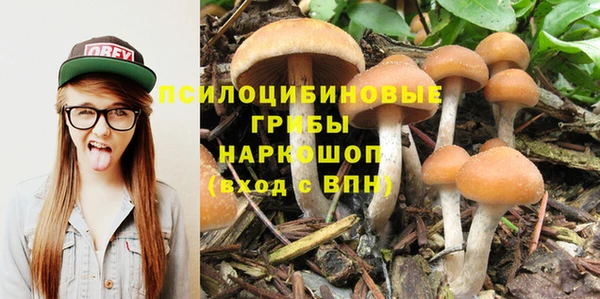 ПСИЛОЦИБИНОВЫЕ ГРИБЫ Балабаново