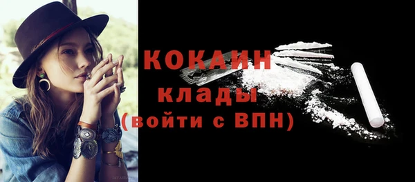 apvp Богородицк