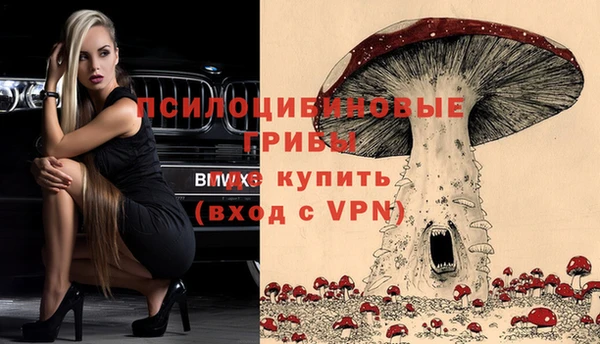 соль курить ск Богородск