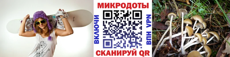 Галлюциногенные грибы мицелий  Армавир 